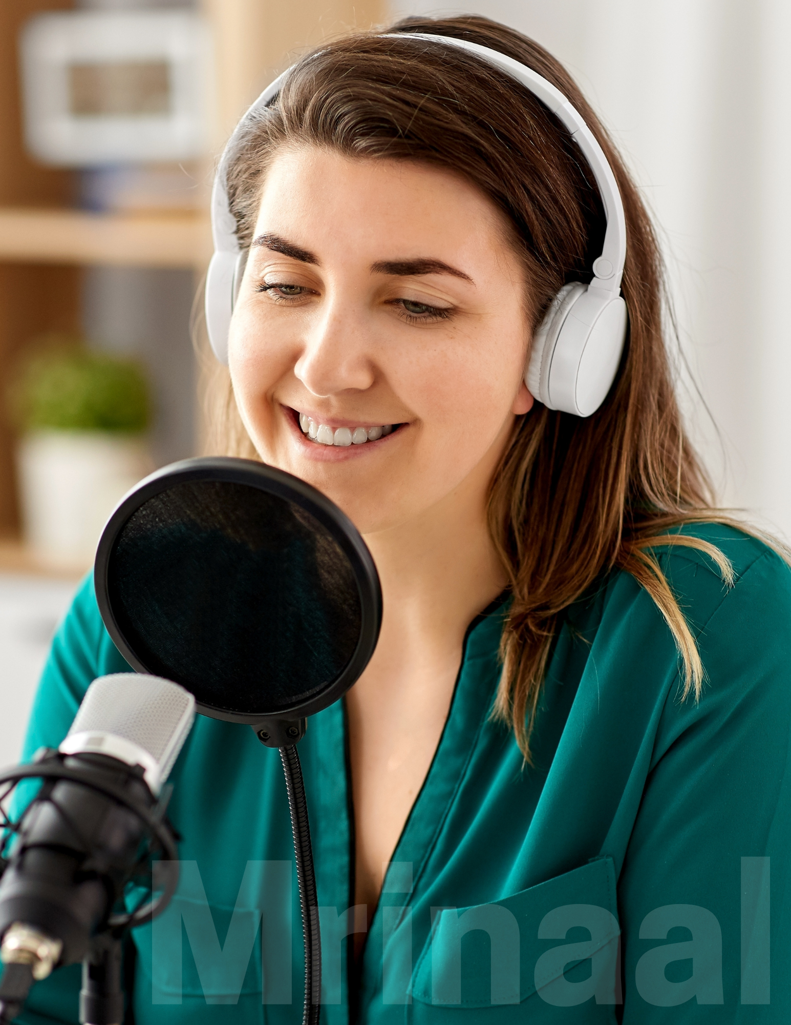 Tinga.ca — WordPress & WooCommerce Platform